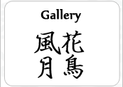 What is Gallery?